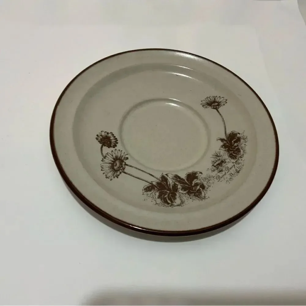 Noritake Cup & Saucer Set Desert Flowers B2